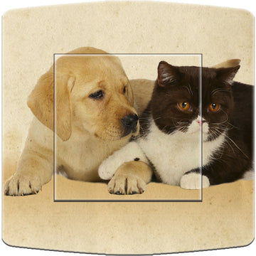 Interrupteur décoré chat et chien